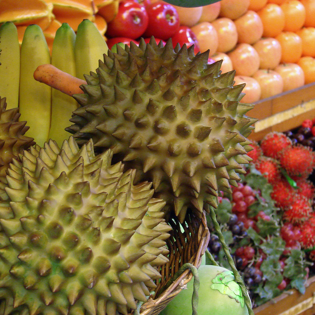 durian-fruits-1